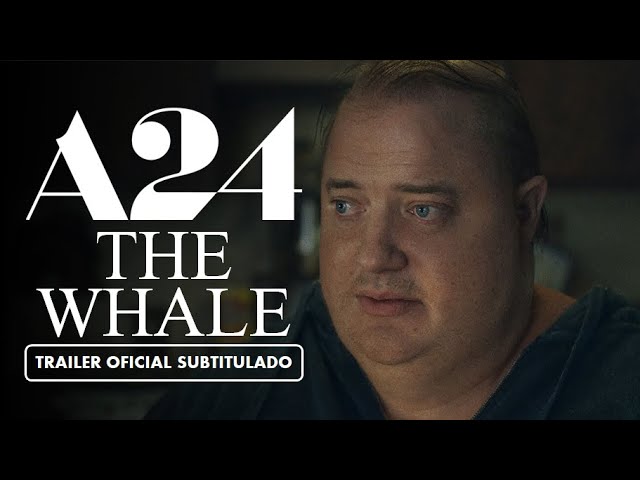 the whale 2022 torrent