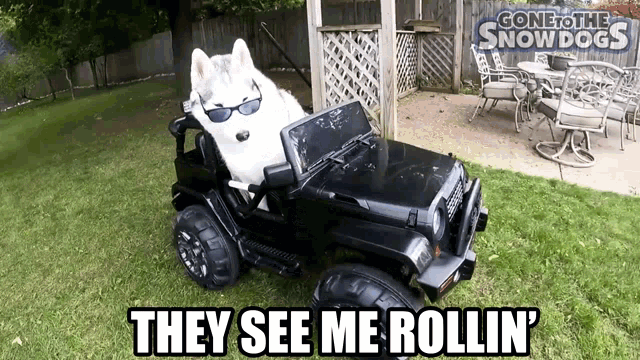 they see me rollin meme
