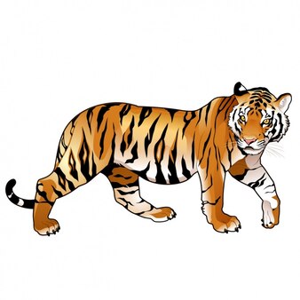 tiger clipart