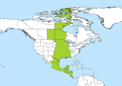 time zones est to cst