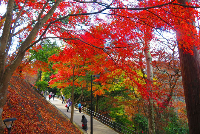 tokyo weather nov