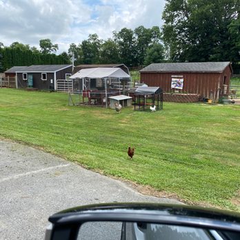 tomato barn washington boro