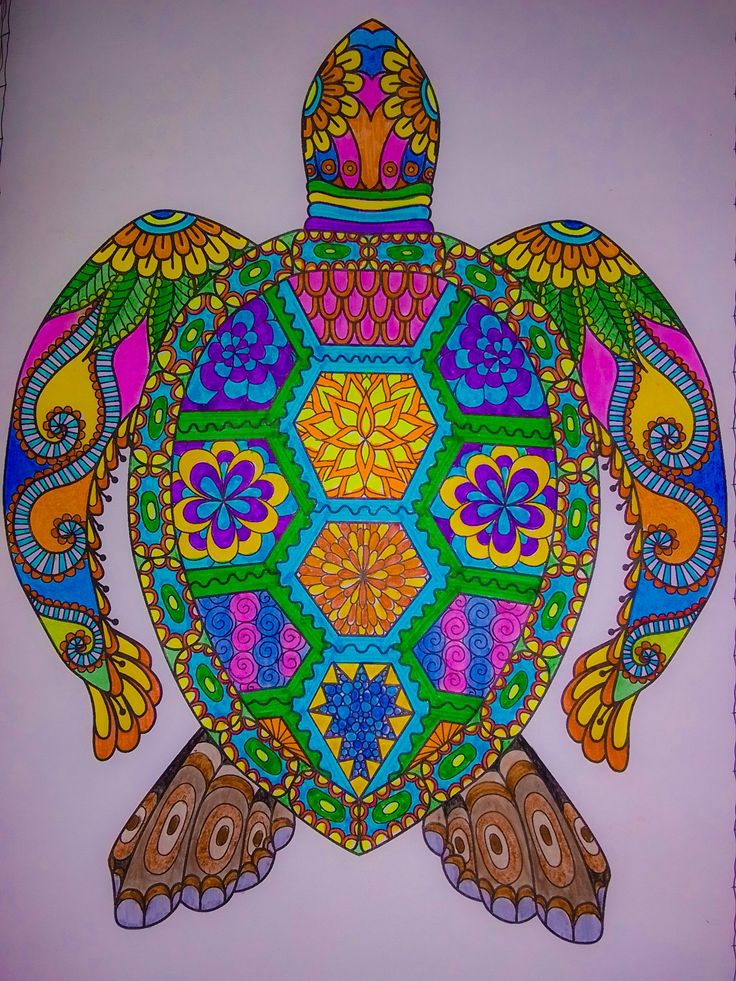 tortuga mandala