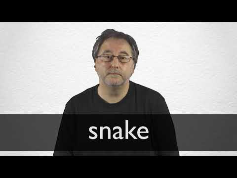 translate snake to spanish