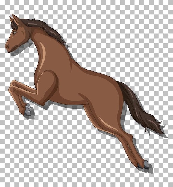 transparent horse png