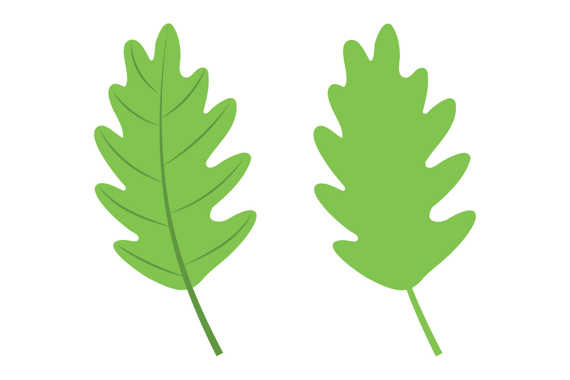 tree leaves clipart