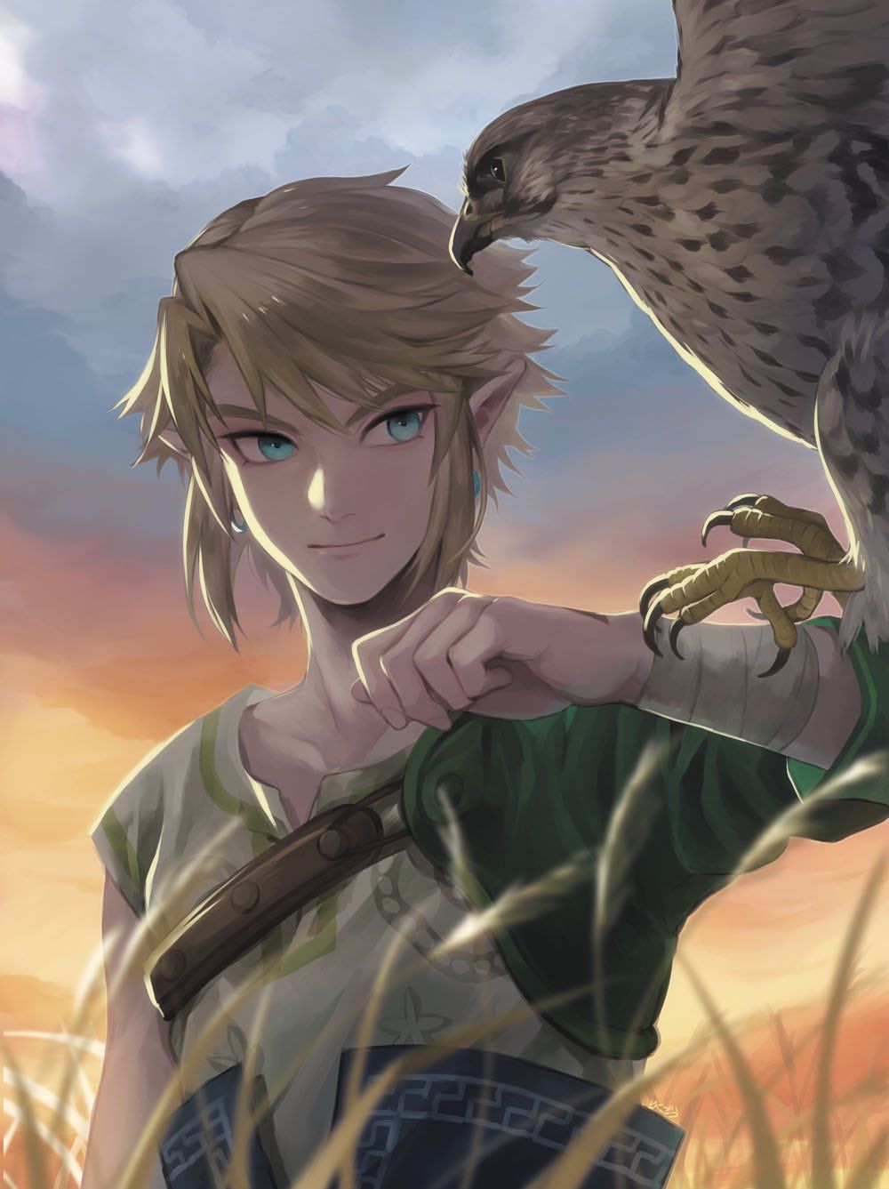 twilight princess link art