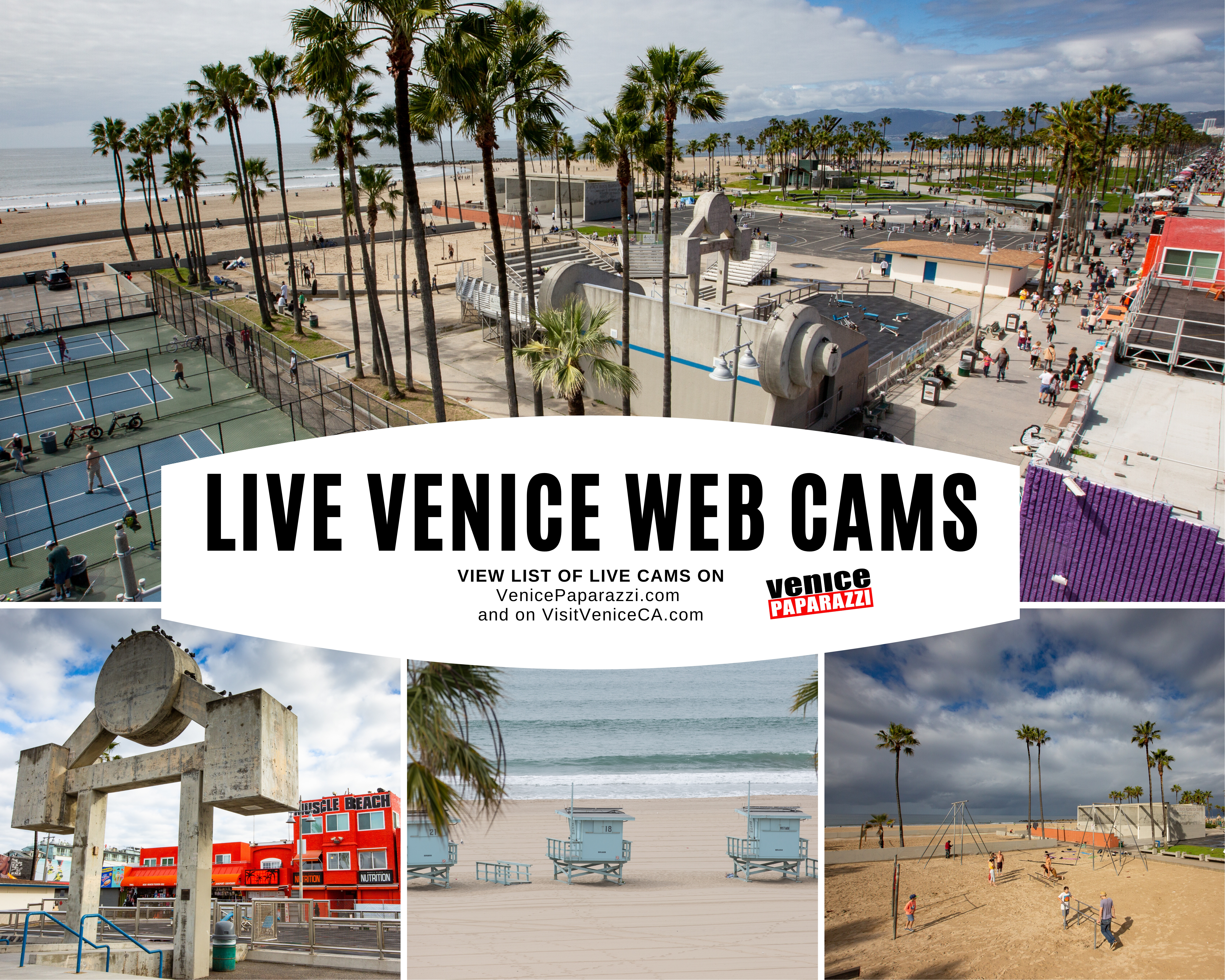 venice beach california webcam