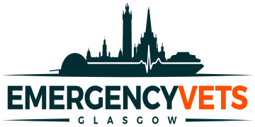 veterinary nurse jobs glasgow