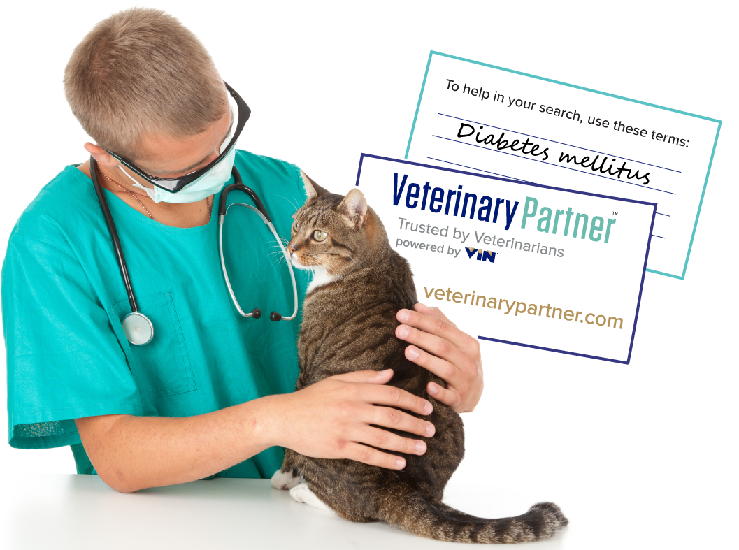 veterinary partner