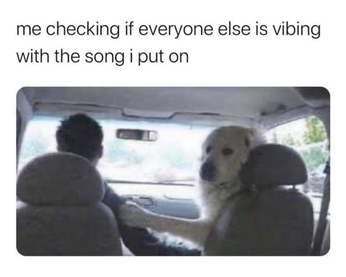 vibing memes