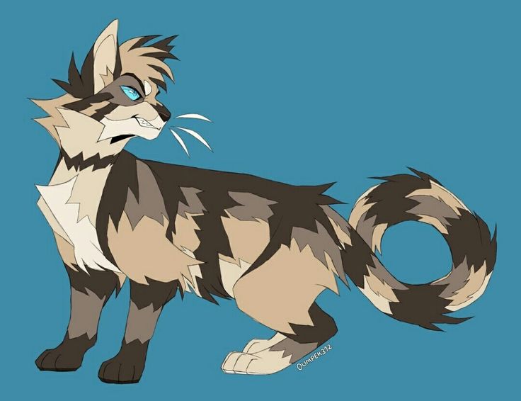 warrior cats longtail