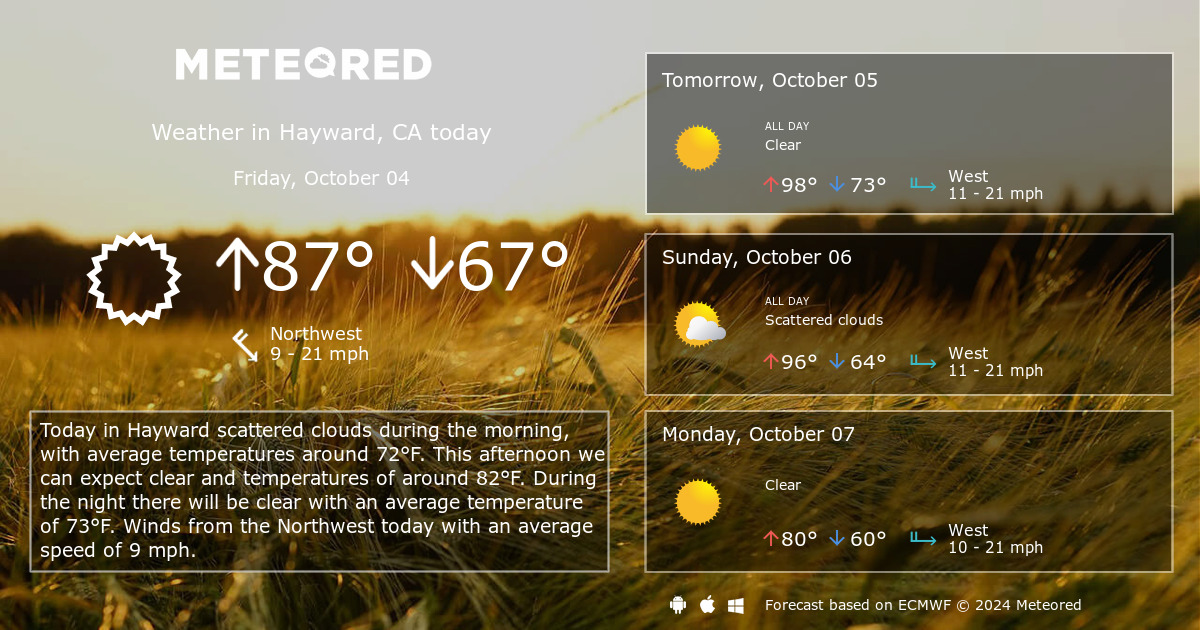 weather hayward 10 day