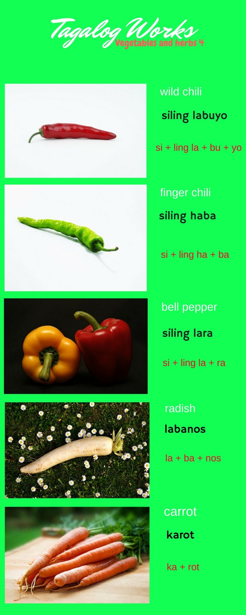 what is capsicum in tagalog