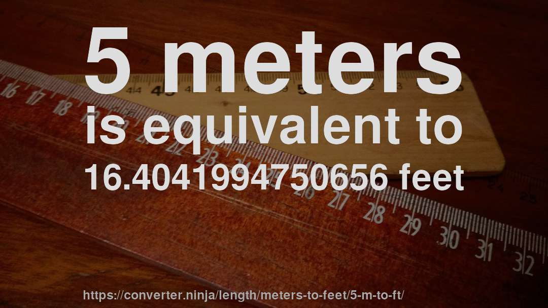 what is five meters in feet