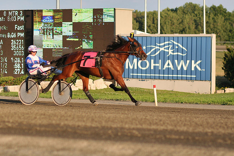 woodbine mohawk casino