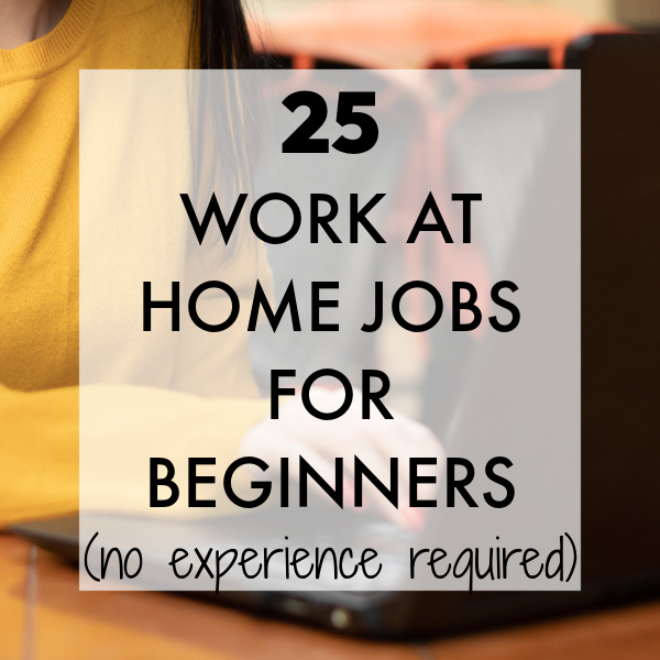 work from home jobs that pay well no experience