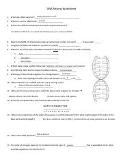 worksheet on dna answer key